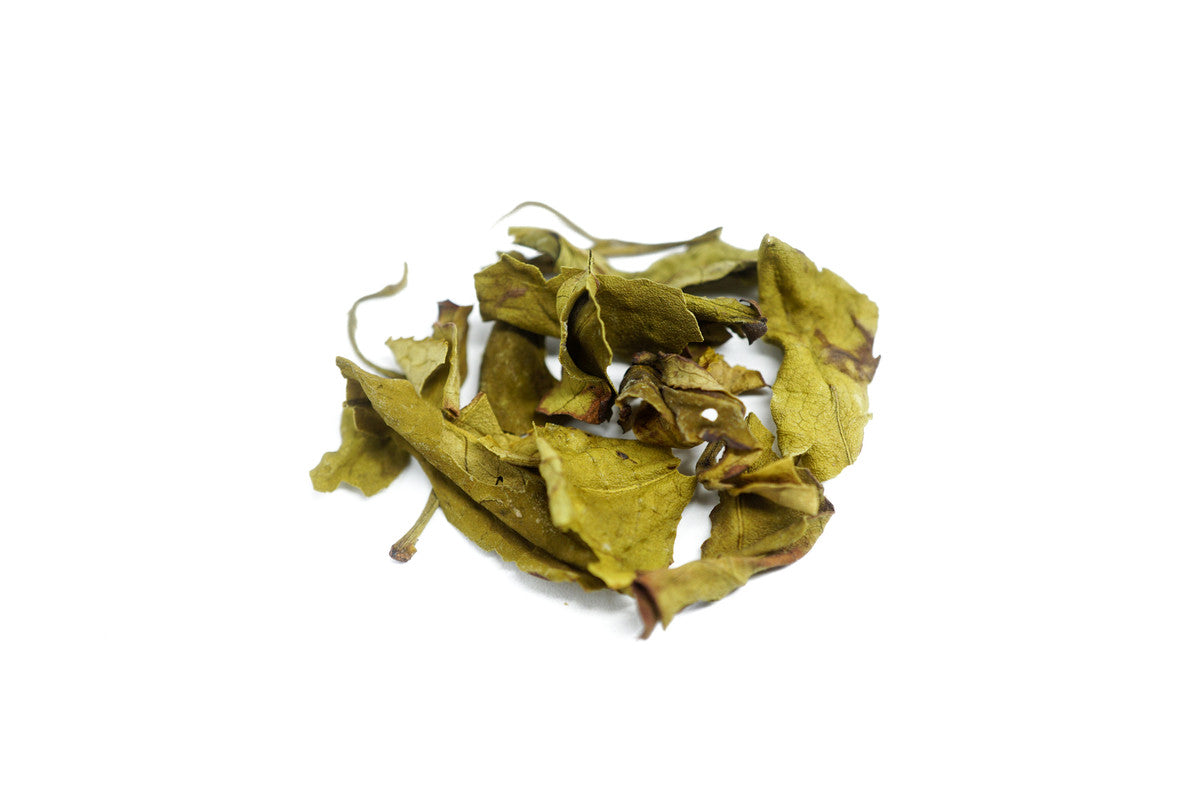 NEPĀLAS WHITE PEONY