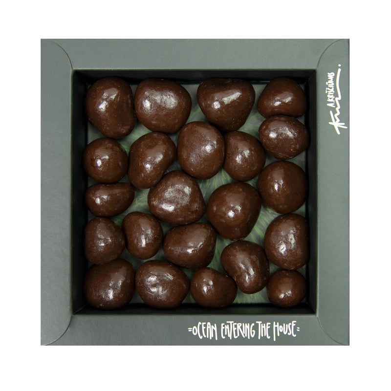 LIOFILIZĒTAS ZEMENES AR TUMŠO ŠOKOLĀDI ''OCEAN ENTERING THE HOUSE'', 115g