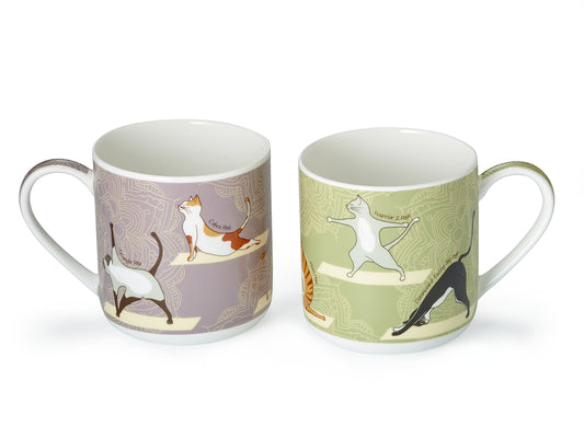 KRŪZE ''JOGAS KAĶI'', 350 ml